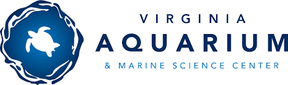 Virginia Aquarium & Marine Science Center